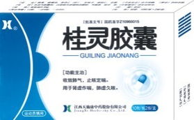 桂靈膠囊權(quán)威全解 招商指南、說(shuō)明書(shū)與醫(yī)藥價(jià)值深度分析